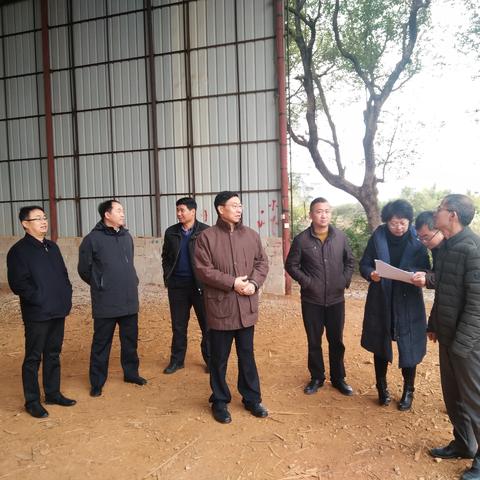 梧州倒水游玩攻略，探寻神秘自然美景与文化底蕴之旅