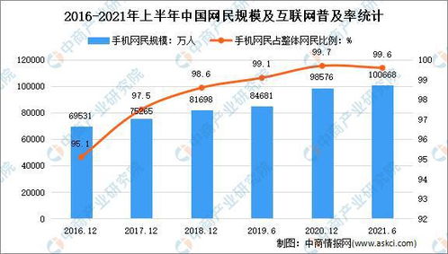 最新肉葱价格查询及市场走势深度分析与预测