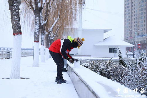 甘谷瑞雪兆丰年，最新下雪美景尽收眼底