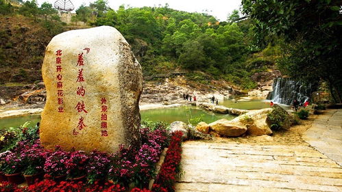 青岚地质公园游玩全攻略，探秘自然奇观，尽享独特体验