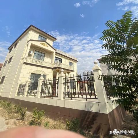 郸城小麦价格最新动态揭秘，市场走势分析与未来预测