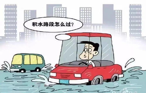 大邱庄暴雨来袭，生活影响与应对最新消息