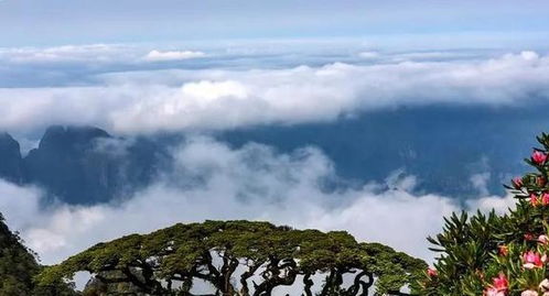 独家揭秘，来宾市神秘壮乡旅游攻略，带你探索绝佳旅行体验！