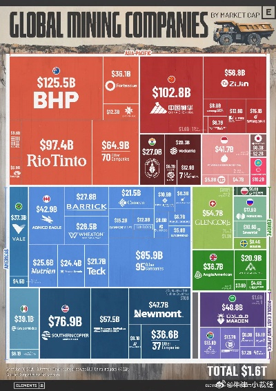 花公司全球排名揭秘，花卉产业的竞争格局概览