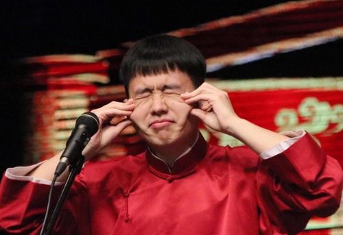 郭麒麟励志语录，迈向成功的步伐与智慧之声