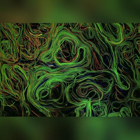 揭秘宇宙奇点，月球的奥秘与魅力——精美说明文图片全解析