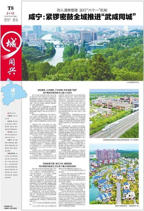 宁波樟树下的新闻焦点，城市脉动