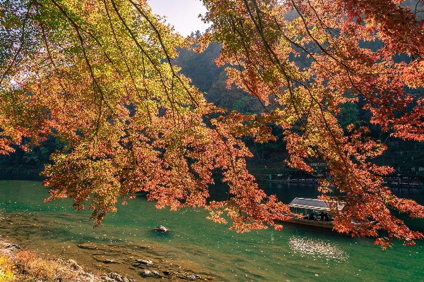 贵阳秋日旅游攻略，探索贵阳美景，尽享十一黄金周的乐趣！