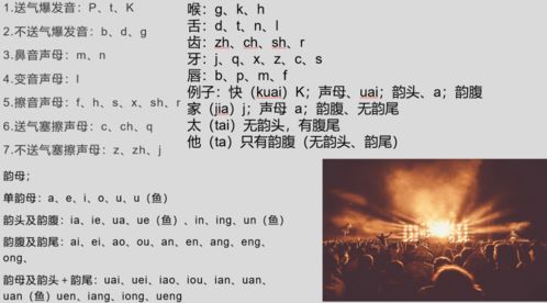 揭秘小鸟歌声背后的奥秘，自然之声探索与百度小鸟声音检索之旅