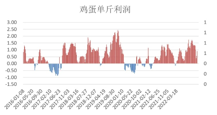 今日超市鸡蛋行情，最新价格、市场走势及消费者洞察分析