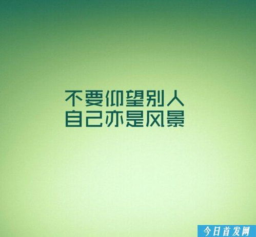 花语励志短句，探寻力量之源与希望之光