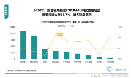 今日三桥最新视频，城市新视角探索之旅