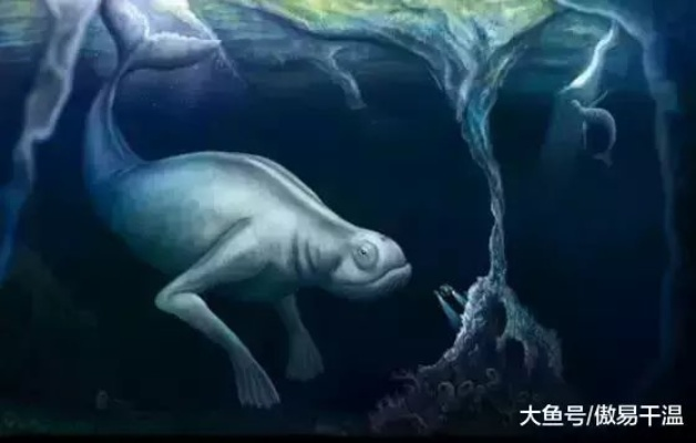 「全球神兽榜单大揭秘，生物排名与英国神秘生物探秘」