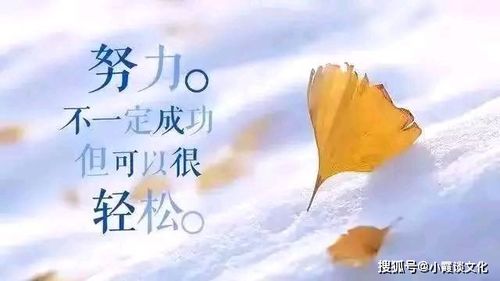 今日早安热门文案，唤醒你的美好一天！
