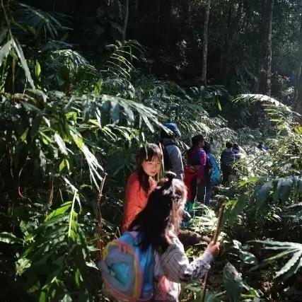 西乡版纳探秘之旅，自然之美的极致体验攻略