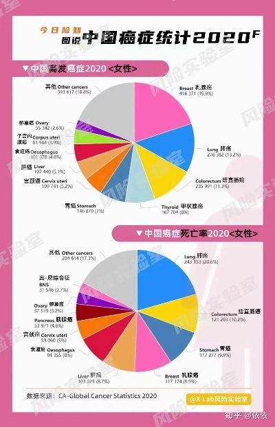 世界癌症协会排名及影响力揭秘