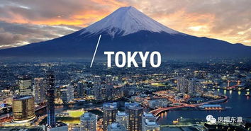 日本TOP10排行榜，魅力之巅探索之旅