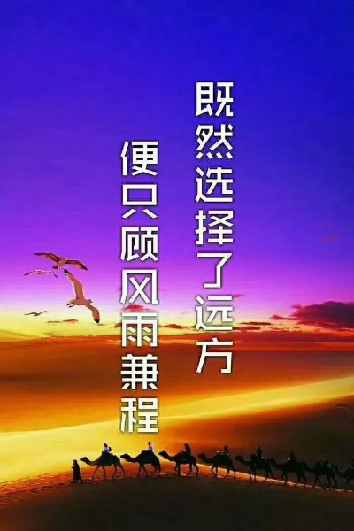 程哥励志语录，生命不息，追梦不止的力量源泉