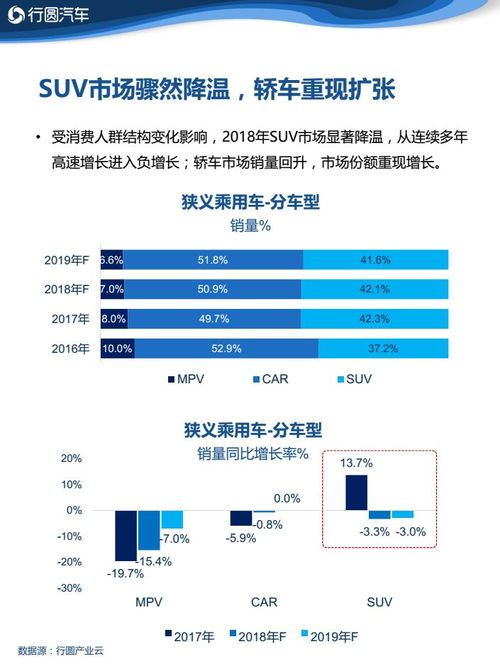 裕华咸菜最新价格动态，市场行情分析与走势预测