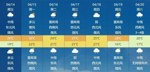 张北今日天气更新，最新消息与天气情况概述