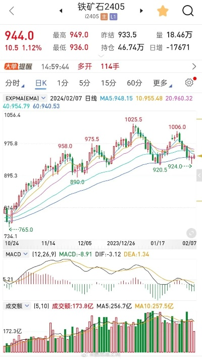 钛铁矿今日行情，市场分析揭示价格波动走势
