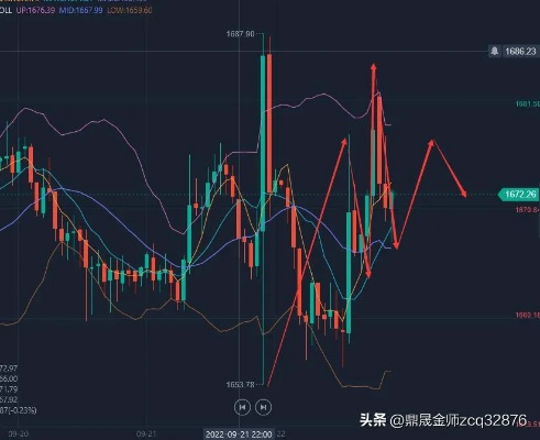 衡东金价最新动态，市场走势分析，投资指南一网打尽