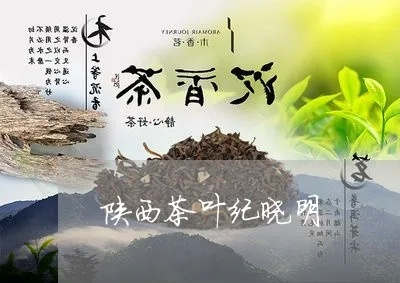 商洛茶叶跻身前十，陕茶韵味探寻之旅