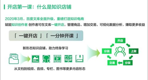 揭秘VIP文库，百度知识宝库的新门户探索