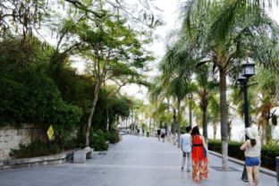 上虞至澳门深度游攻略，魅力之旅全解析