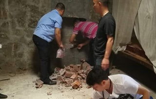 全球鸡宰杀数量背后的惊人真相揭秘