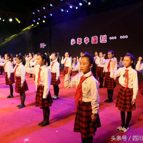 后盐最新动态揭秘，背后的故事与未来展望