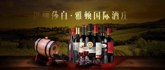 红酒代理全解析与深度探索，一站式洞悉行业奥秘