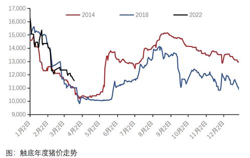 双鸭山最新猪价走势分析，今日行情及未来展望