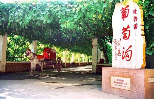 吐鲁番旅游攻略公司，葡萄之乡的最佳探索伙伴