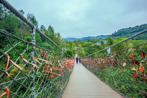赣州闽西自然与文化探秘，完美融合旅游攻略