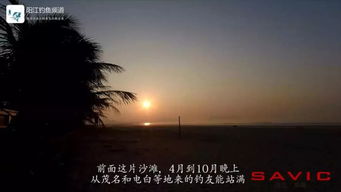 电白海滩游玩攻略，探秘绝美海域，开启梦幻海洋之旅！