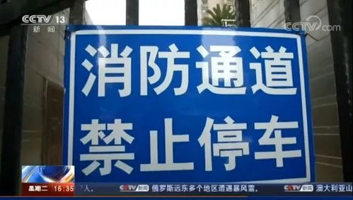 央视红牌警告视频背后的深意与警示解读