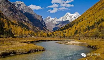 沁园深度旅游攻略，揭秘神秘美景，畅享绝美旅程