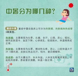 长沙至海南乘车攻略大全，最新指南与实用建议