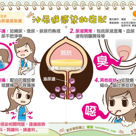 尿路感染深度解析，症状、原因与治疗方法一网打尽
