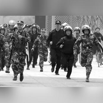 周口罪犯排名前十，深度揭示与反思