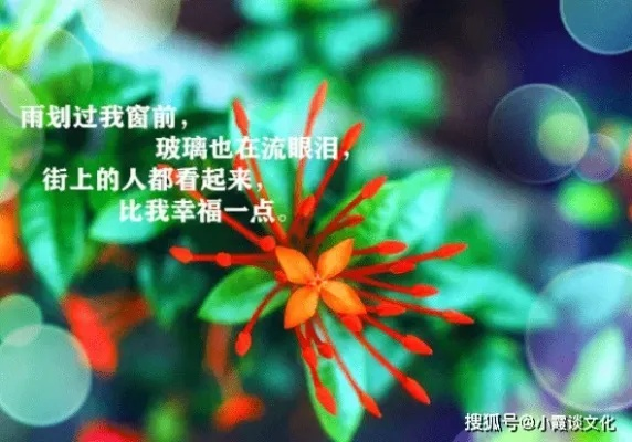 励志女人语录，燃烧生命，绽放独特光彩