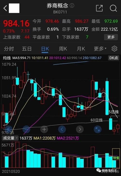 霍邱今日肉价行情及市场走势深度解析，最新消息与影响因素揭秘