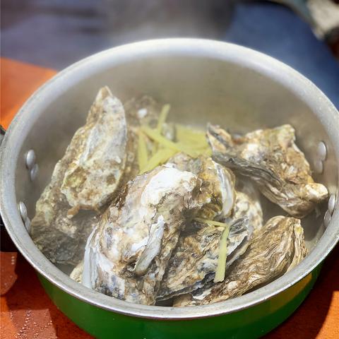 「独家分享！乳山烧烤配方视频大全出炉，轻松掌握烧烤艺术，尽享美味佳肴盛宴！」