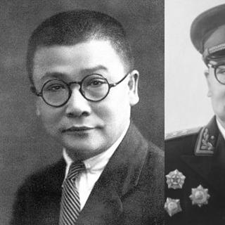 雄狮最新动态揭秘，背后的故事一网打尽！