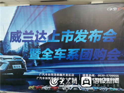 叶县最新新闻头条速递