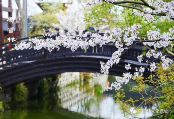 「春日松江之旅，邂逅生机与美景的绝美绽放」