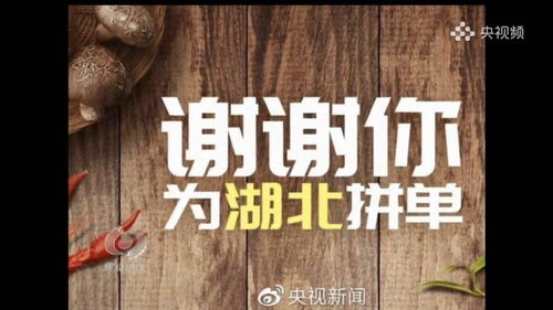揭秘热点事件背后的故事，今日海峡最新视频回放全解析
