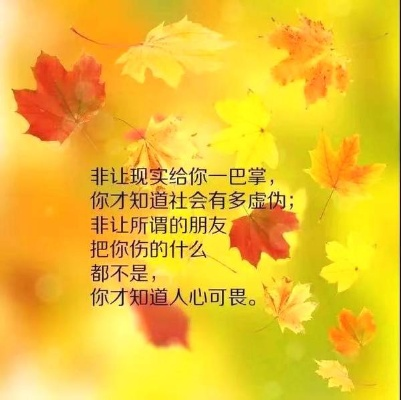 幽默励志短句，笑中带智慧，话藏人生真谛