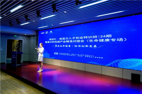 嘉兴秀水新闻聚焦，探寻新魅力，经济蓬勃发展，秀水展翅展宏图